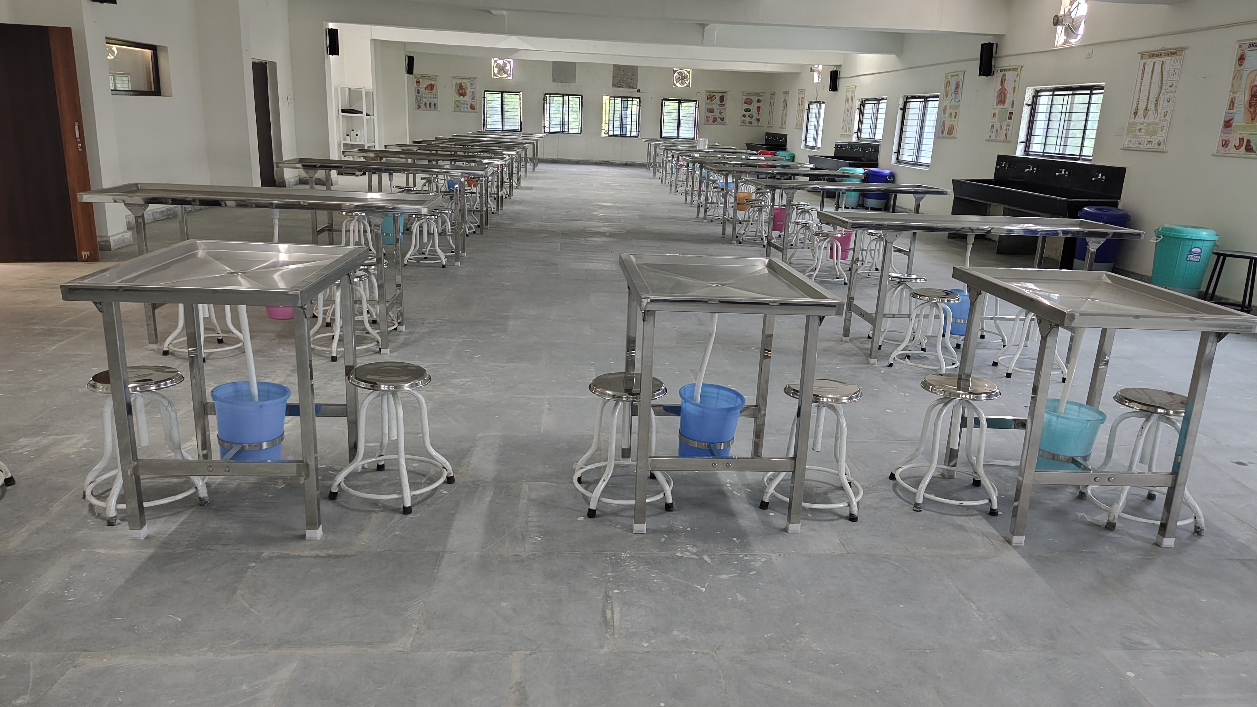 Anatomy Department